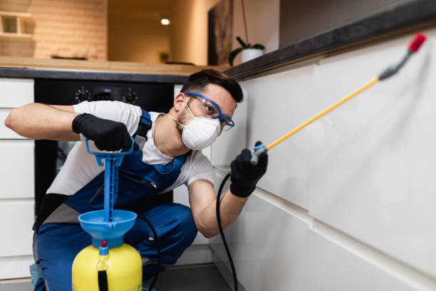 Best Local Pest Control Services  in Lake Waccamaw, NC