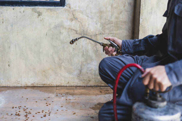 Best Wasp Removal Services  in Lake Waccamaw, NC